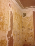 End of day one. Verdict: plastering fixable. Plan: make good all holes and re-skim